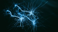3D image of neuron